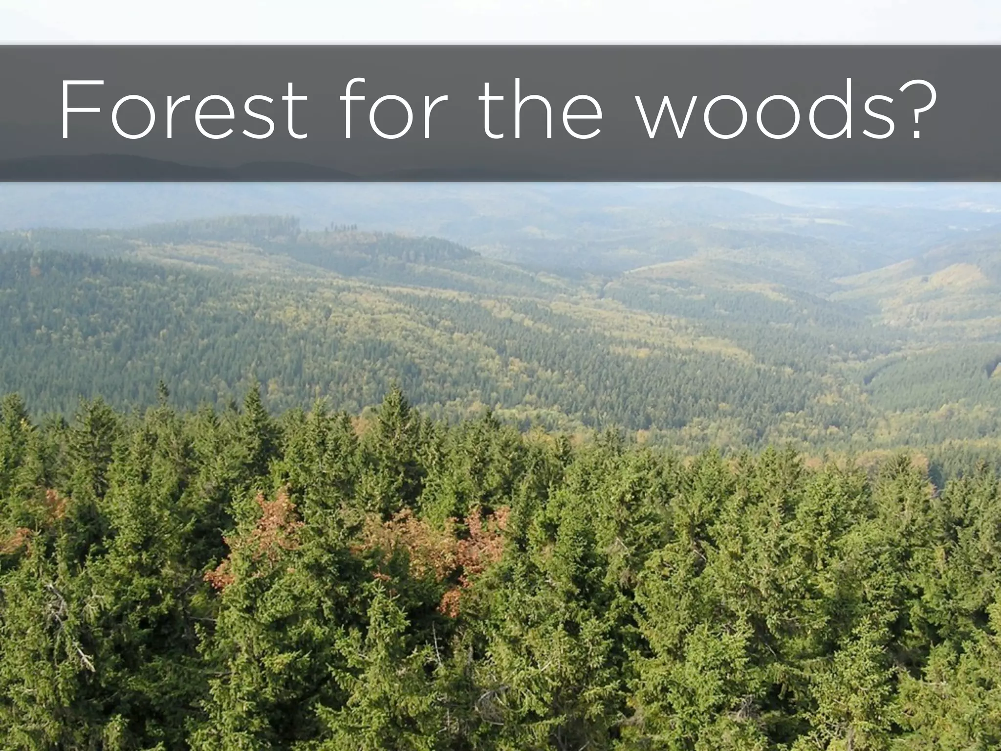 Forest for the woods?
 