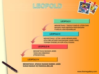 LEOPOLD I

                                MENGETAHUI TINGGI FUNDUS UTERI DAN
                                BAGIAN YANG BERADA PADA BAGIAN
                                FUNDUS,USIA KEHAMILAN

                            LEOPOLD II

                   MENGETAHUI LETAK JANIN MEMANJANG
                   ATAU MELINTANG DAN BAGIAN JANIN YANG
                   TERABA DISEBELAH KIRI ATAU KANAN

              LEOPOLD III

         MENGETAHUI BAGIAN JANIN
         YANG ADA DIBAWAH
         (PRESENTASI)

    LEOPOLD IV

MENGETAHUI APAKAH BAGIAN BAWAH JANIN
SUDAH MASUK KE PANGGUL/BELUM


                                                      www.themegallery.com
 