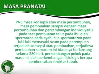 MASA PRANATAL

    PNC masa konsepsi atau masa pertumbuhan,
        masa pembuahan sampai dengan masa
   pertumbuhan dan perkembangan individuyaitu
       pada saat pembuatan telur pada ibu oleh
    spermazoa pada ayah, bila spermatozoa pada
      laki-laki memasuki ovum pada perempuan
   terjadilah konsepsi atau pembuahan, terjadinya
    pembuahan semacam ini biasanya berlansung
     selama 280 hari, perkembangan pokok pada
    masa ini ialah perkembangan fisiologis berupa
             pembentukan struktur tubuh.
 