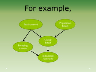 For example,
Individual
Fecundity
Group
Effect
Population
Effect
Foraging
success
Environment
 