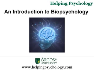 www.helpingpsychology.com An Introduction to Biopsychology   