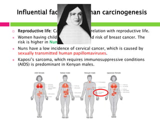 Influential factors in human carcinogenesis 
 Reproductive life: Cancer has a great relation with reproductive life. 
 Women having children have a reduced risk of breast cancer. The 
risk is higher in Nuns. 
 Nuns have a low incidence of cervical cancer, which is caused by 
sexually transmitted human papillomaviruses. 
 Kaposi’s sarcoma, which requires immunosuppressive conditions 
(AIDS) is predominant in Kenyan males. 
 