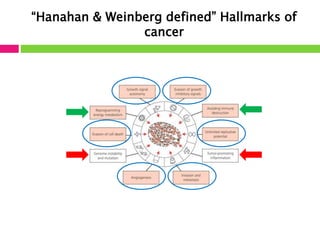 “Hanahan & Weinberg defined” Hallmarks of 
cancer 
 