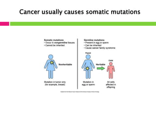 Cancer usually causes somatic mutations 
 