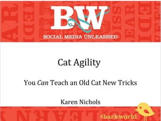 Cat Agility
You Can Teach an Old Cat New Tricks
Karen Nichols
 