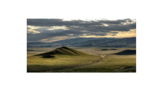 Line Diagrams of Cervix
Hammond’s graph: (A) Cervical Canal, (B) Portio vaginalis of Cervix –
Transformation Zone, (C) Portio vaginalis outside of Transformation
Zone, (D) Vaginal Vault
Odell’s diagram enables to mark individually
diagnosed Findings
I II
 