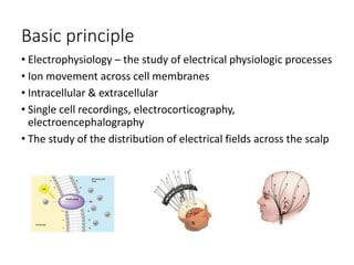 An Introduction to Electroencephalography | PPTX