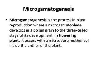 An introduction to embryology of angiosperms | PPT