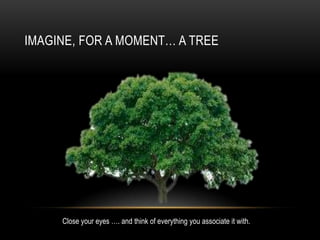 IMAGINE, FOR A MOMENT… A TREE
Close your eyes …. and think of everything you associate it with.
 