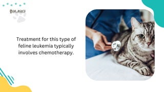 An Introduction to Feline Leukemia Virus | PPTX