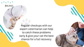 An Introduction to Feline Leukemia Virus | PPTX