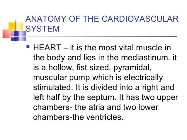 An introduction to fitness