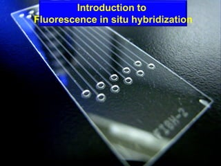 Introduction to
Fluorescence in situ hybridization
 