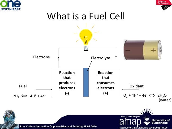 An Introduction To Hydrogen Fuel Cells