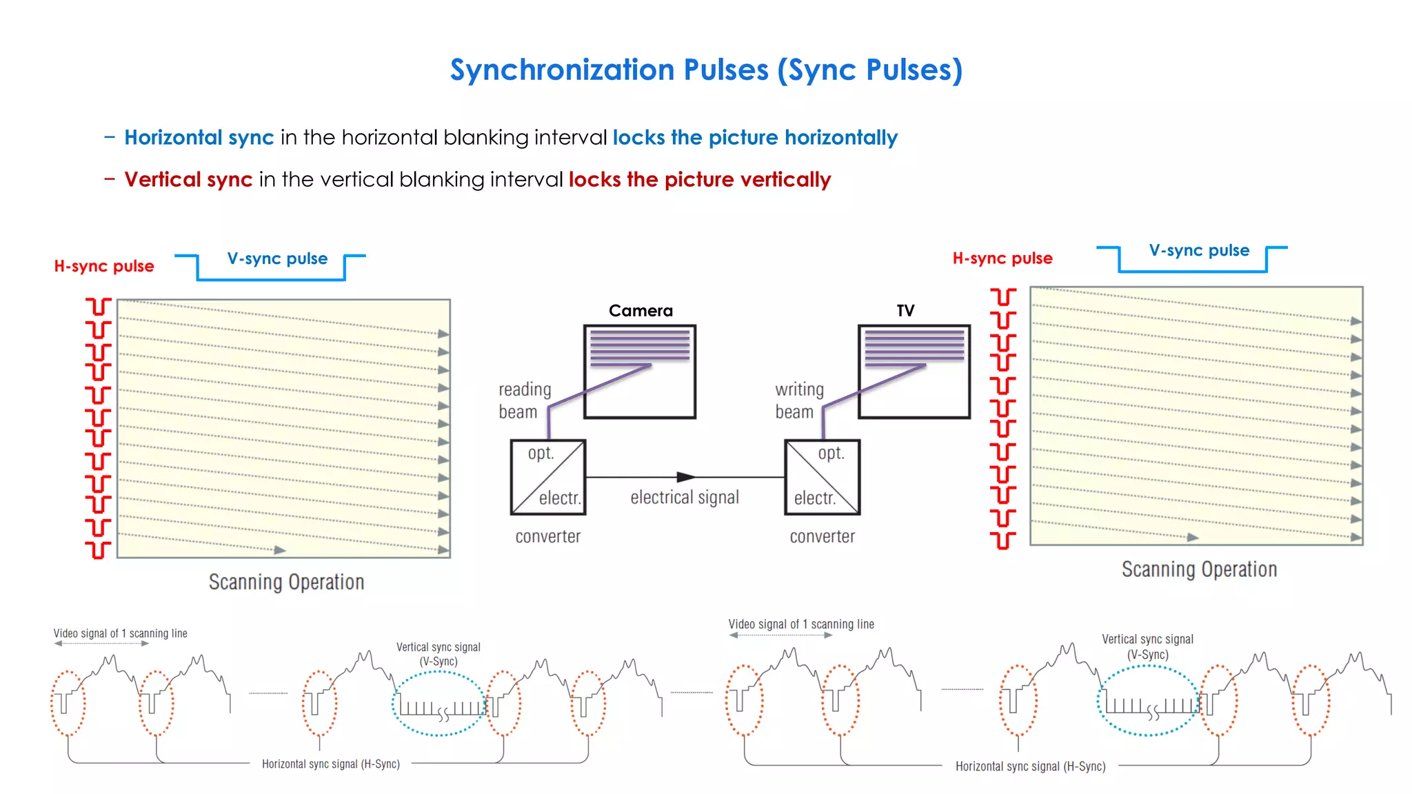 Synchronization Pulses (Sync Pulses)
10
V-sync pulse
V-sync pulse
H-sync pulse H-sync pulse
− Horizontal sync in the horizontal blanking interval locks the picture horizontally
− Vertical sync in the vertical blanking interval locks the picture vertically
Camera TV
 