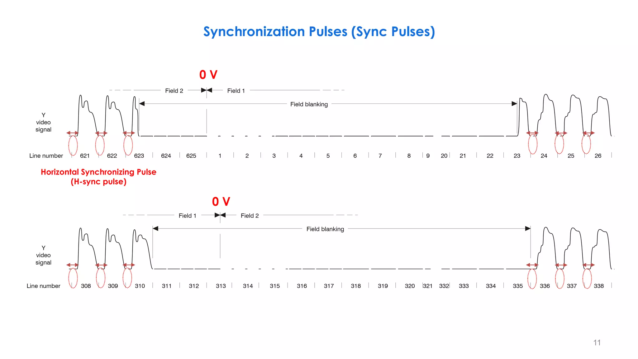621
308 309 310 311 312 313 314 315 316 317 318 319 320 333 334 335 336 337 338
622 623 624 625 1 2 3 4 5 6 7 8 21 22 23 24 26
25
9
Field 2 Field 1
Field 1 Field 2
Field blanking
Field blanking
20
Y
video
signal
Line number
Y
video
signal
Line number 332
321
11
0 V
0 V
Synchronization Pulses (Sync Pulses)
Horizontal Synchronizing Pulse
(H-sync pulse)
 