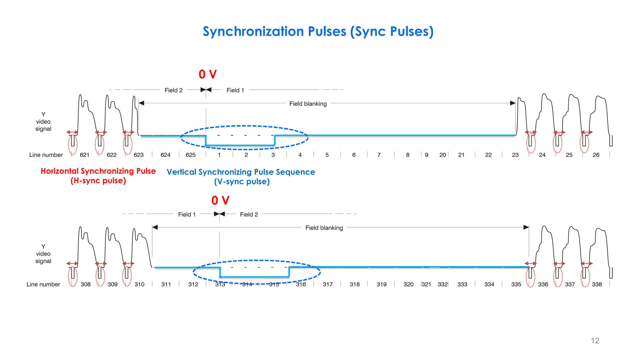 621
308 309 310 311 312 313 314 315 316 317 318 319 320 333 334 335 336 337 338
622 623 624 625 1 2 3 4 5 6 7 8 21 22 23 24 26
25
9
Field 2 Field 1
Field 1 Field 2
Field blanking
Field blanking
20
Y
video
signal
Line number
Y
video
signal
Line number 332
321
12
0 V
0 V
Synchronization Pulses (Sync Pulses)
Horizontal Synchronizing Pulse
(H-sync pulse)
Vertical Synchronizing Pulse Sequence
(V-sync pulse)
 