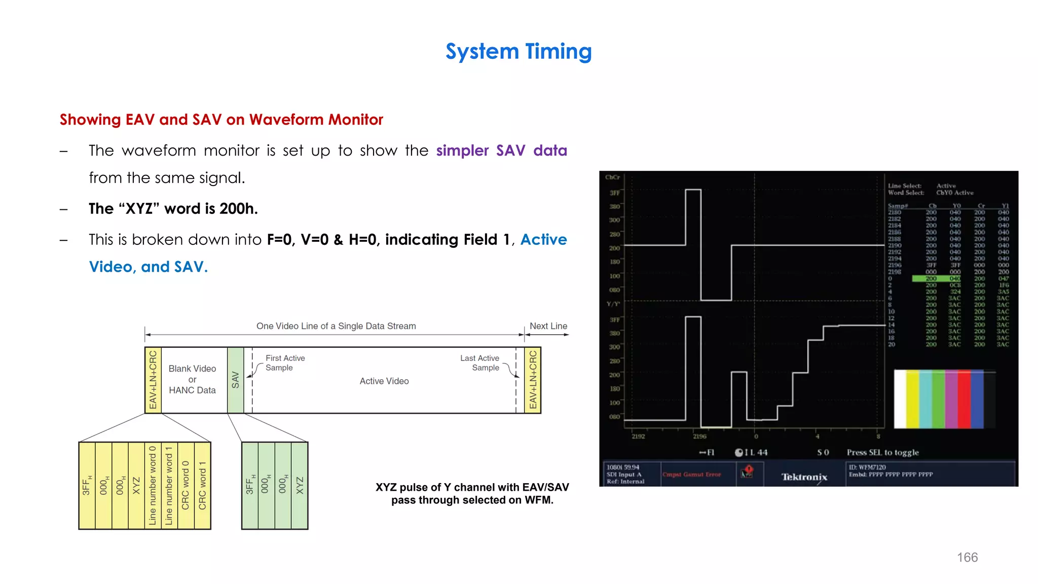 System Timing
166
XYZ pulse of Y channel with EAV/SAV
pass through selected on WFM.
Showing EAV and SAV on Waveform Monitor
– The waveform monitor is set up to show the simpler SAV data
from the same signal.
– The “XYZ” word is 200h.
– This is broken down into F=0, V=0 & H=0, indicating Field 1, Active
Video, and SAV.
 