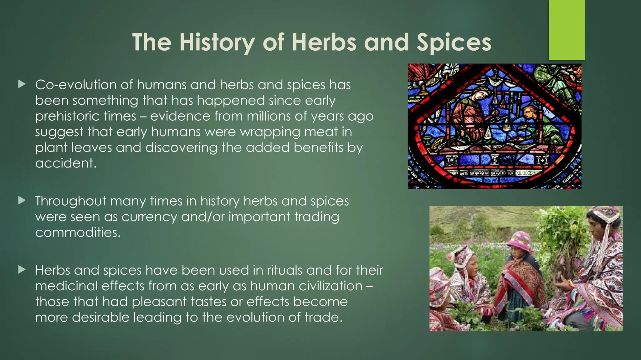An Introduction to Herbs and Spices.pptx