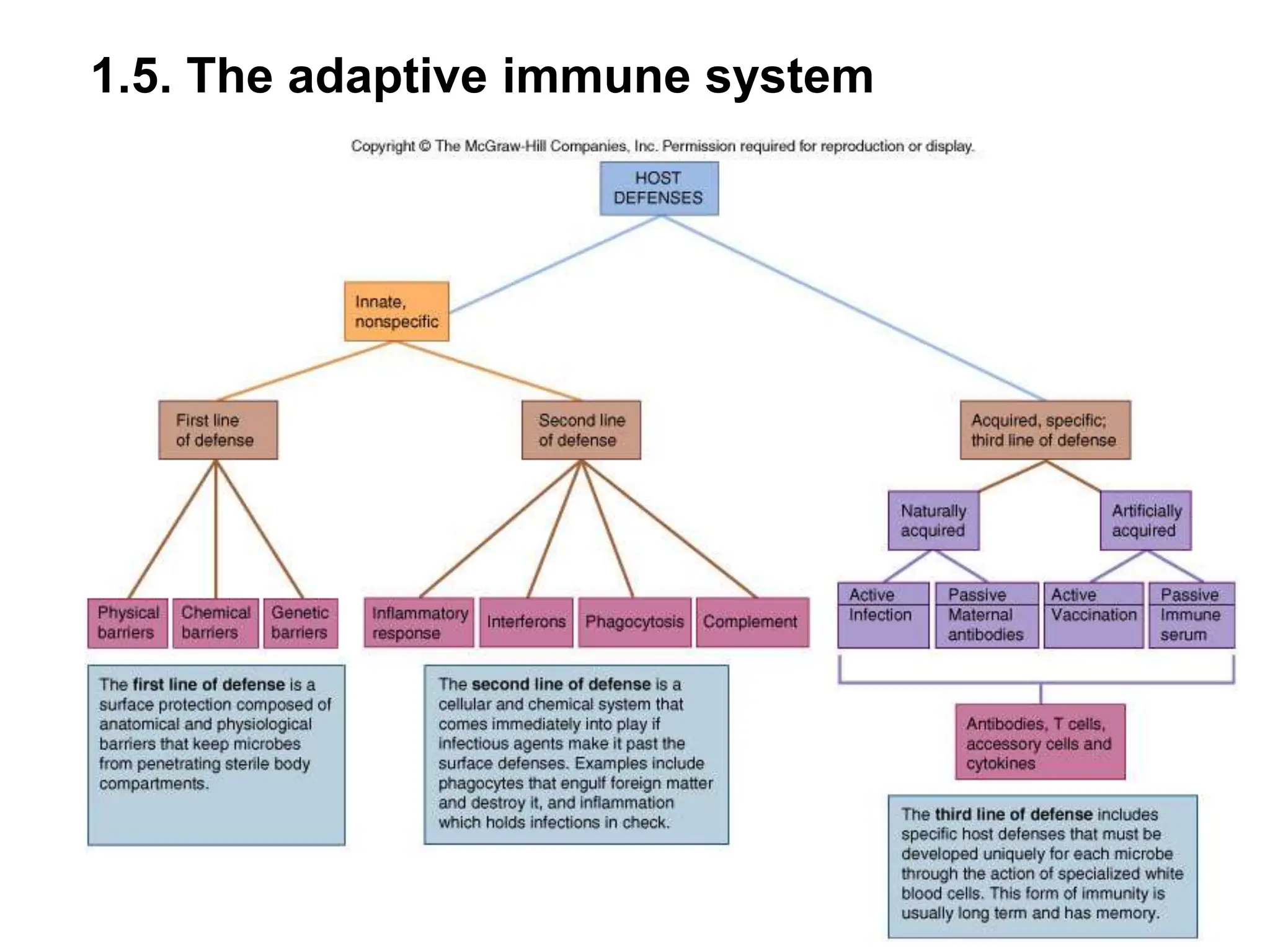 An Introduction to Immunology PPT (1).ppt