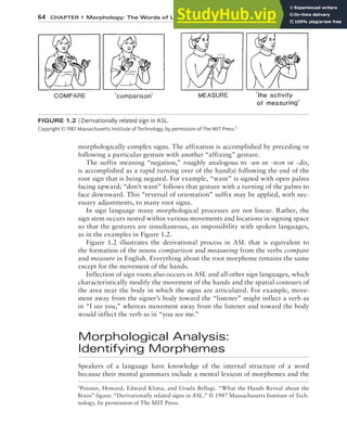An Introduction to Language.pdf