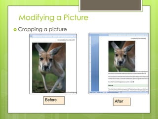 Modifying a Picture
 Cropping   a picture




             Before      After
 