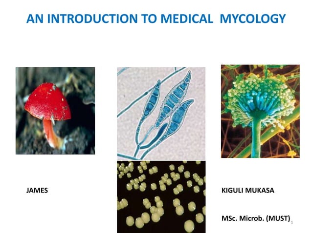 AN INTRODUCTION TO MYCOLOGY 11 2017.ppt