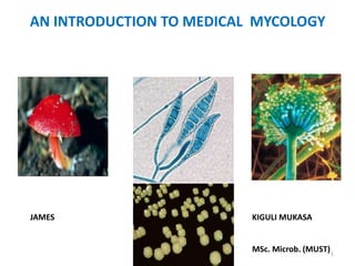 AN INTRODUCTION TO MEDICAL MYCOLOGY
JAMES KIGULI MUKASA
MSc. Microb. (MUST)1
 