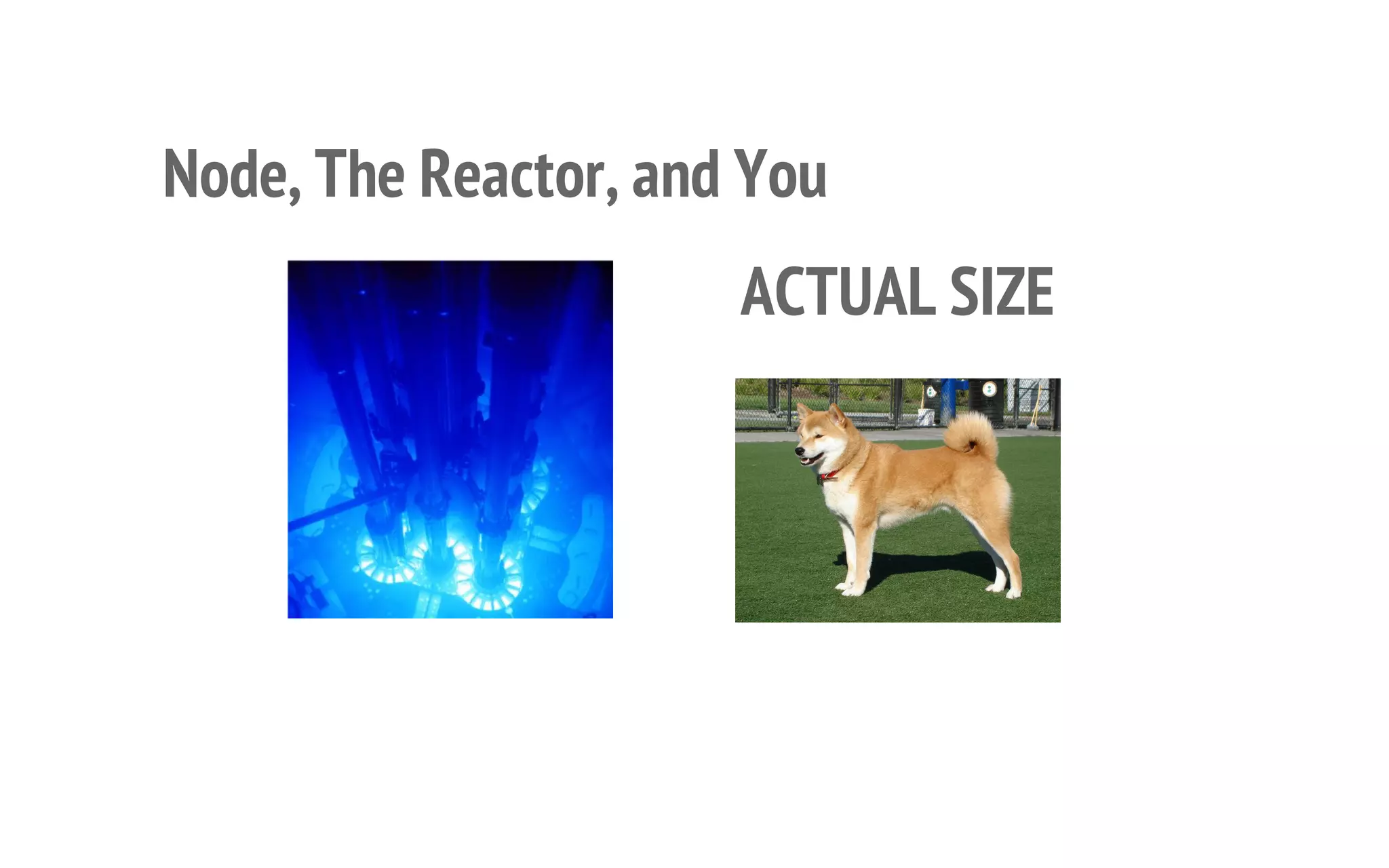 10

Node, The Reactor, and You
ACTUAL SIZE

 