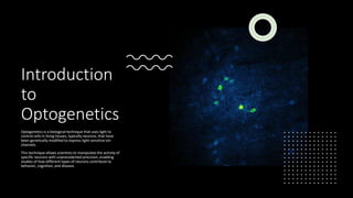Introduction
to
Optogenetics
Optogenetics is a biological technique that uses light to
control cells in living tissues, typically neurons, that have
been genetically modified to express light-sensitive ion
channels.
This technique allows scientists to manipulate the activity of
specific neurons with unprecedented precision, enabling
studies of how different types of neurons contribute to
behavior, cognition, and disease.
 