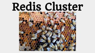 Redis Cluster
 