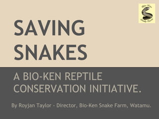 SAVING
SNAKES
A BIO-KEN REPTILE
CONSERVATION INITIATIVE.
By Royjan Taylor - Director, Bio-Ken Snake Farm, Watamu.
 