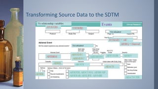 Transforming Source Data to the SDTM
 