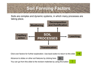 Rock Humification An introduction to soils, soil formation and terminology | PDF