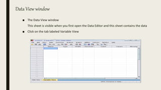 Data View window
■ The Data View window
This sheet is visible when you first open the Data Editor and this sheet contains the data
■ Click on the tab labeled Variable View
 