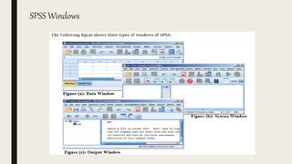 SPSS Windows
 