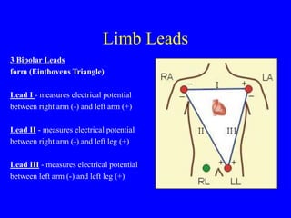 Left Lead AN INTRODUCTION TO THE 12 LEAD ECG IN MEDICINE | PPT