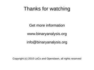 An Introduction to the Binary Analysis Tool | PDF