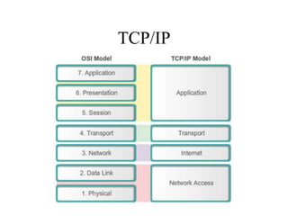TCP/IP
 