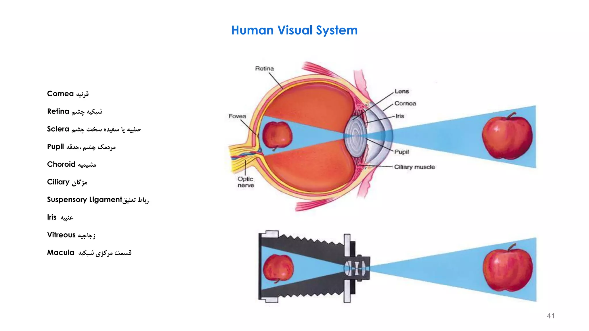 An Introduction to Video Principles-Part 1 | PDF