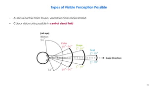 Visible Perception An Introduction to Video Principles-Part 1 | PDF