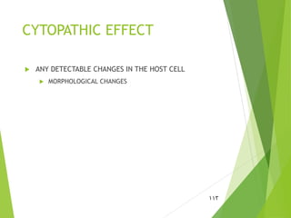 CYTOPATHIC EFFECT
 ANY DETECTABLE CHANGES IN THE HOST CELL
 MORPHOLOGICAL CHANGES
113
 