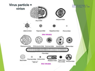 13
Virus particle =
virion
White, DO and Fenner, FJ.
Medical Virology, 4th Ed. 1994
 