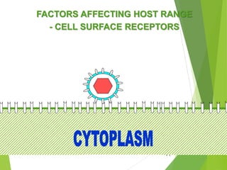 19
FACTORS AFFECTING HOST RANGE
- CELL SURFACE RECEPTORS
 