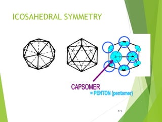 ICOSAHEDRAL SYMMETRY
26
 