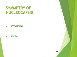 SYMMETRY OF
NUCLEOCAPSID
 ICOSAHEDRAL
 HELICAL
38
 