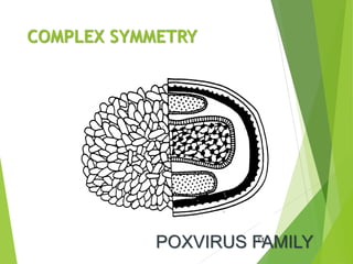 COMPLEX SYMMETRY
44
POXVIRUS FAMILY
 