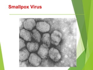 Smallpox Virus
 