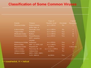 Classification of Some Common Viruses
Family Viruses
Type of
Nucleic Acid Envelope
Capsid
Symmetry
Picornaviridae Enteroviruses,
polio, hep. A
ss (+) RNA No I
Caliciviridae Norwalk virus ss (+) RNA No I
Togaviridae Rubella ss (+) RNA Yes I
Rhabodoviridae Rabies ss (+) RNA Yes H
Paramyxoviridae Parainfluenza,
RSV, measles,
mumps
ss (-) RNA Yes H
Orthomyxoviridae Influenza ss (-) RNA Yes H
Retroviridae HIV 1,2, HTL I,II ss (+) RNA Yes I
Hepadnaviridae Hepatitis B ds DNA Yes Unknown
Parvoviridae Parovirus B - 19 ss (+) or (-) DNA No I
Adenoviridae Adenovirus ds DNA No I
Herpesviridae HSV, CMV, EBV,
VZV, HHV6 ds DNA Yes I
I = icosahedral, H = helical
 
