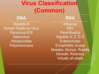 Virus Classification
(Common)
DNA RNA
Hepatitis B
Human Papilloma Virus
Parvovirus B19
Adenovirus
Herpesviridae
Polyomaviruses
Influenza
RSV
Parainfluenza
Hepatitis A, C, D, E
Enteroviruses
Encephalitis viruses
Measles, Mumps, Rubella
Norwalk, Rotavirus
Virtually all others
 